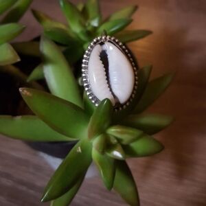 Cowry Shell Ring in Sterling Silver